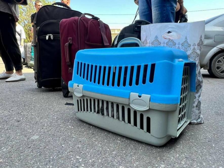  �������� ������ ����� ������ ���������� ��������� 