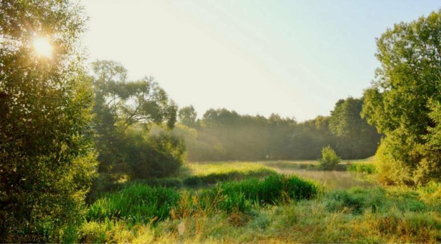 ����: 0512.com.ua