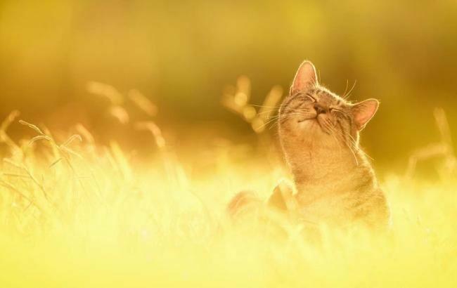  ���� ����� ��� ������ ��������� ����������� �������� ���� 