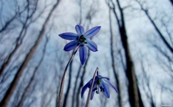  ������ ��� ����� ������ ������� ������� 