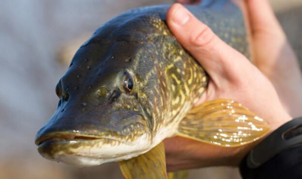 ����: 0512.com.ua