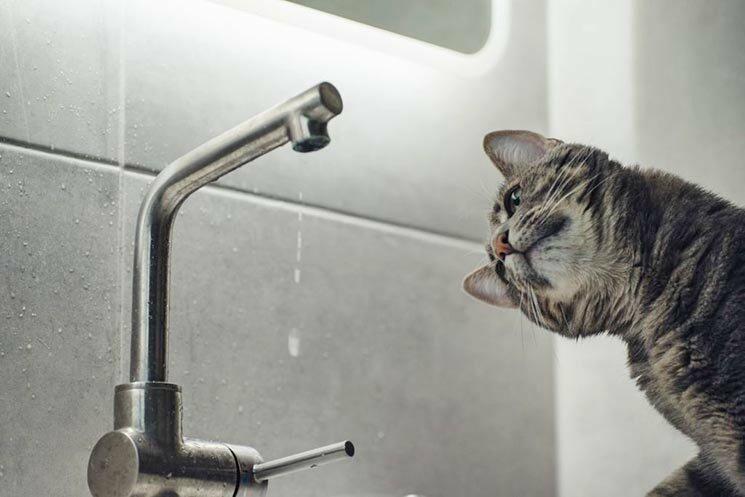  ������� ������ ��� ������� ���������� ���� -������ 