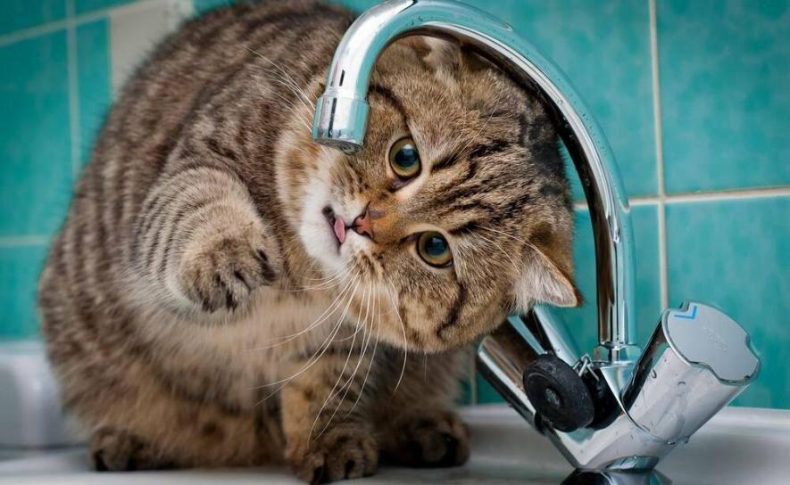  ��� ������ ������� ���������� ���� 