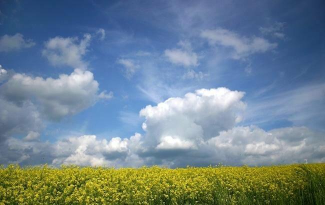  ������ ��������� ��� ����� ������ ������� ������ 