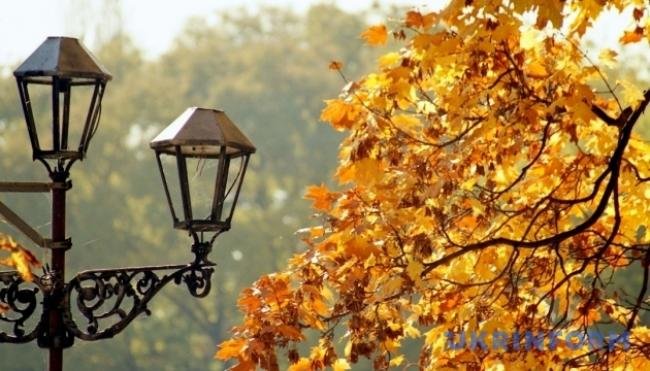  ������ ��� ����� ������ ������� ������� 