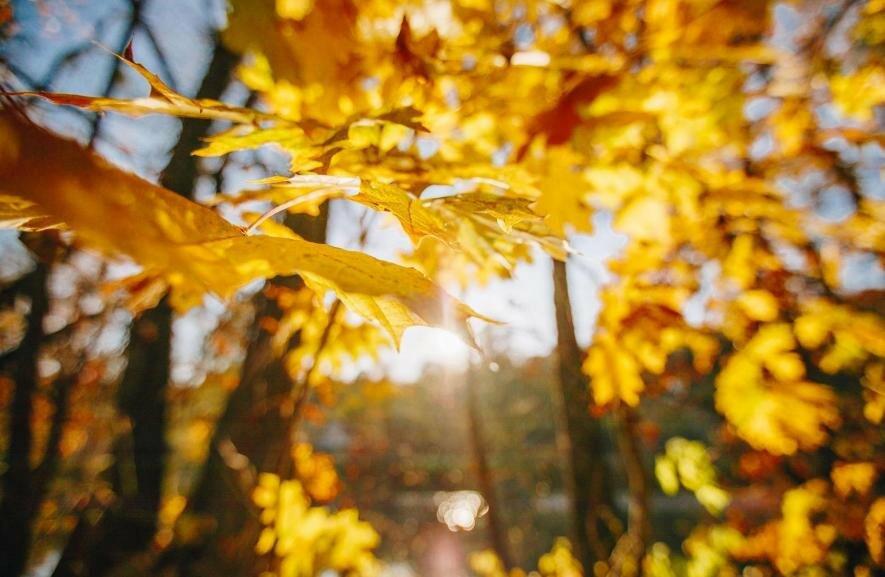  ������� ������� ����� ������ ������� ������ 