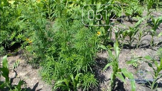  �������� ������������ ������� ������� �������� �������� ���� 