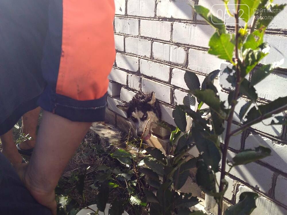  ��������� ���������� ����� ������� ������ ���� 