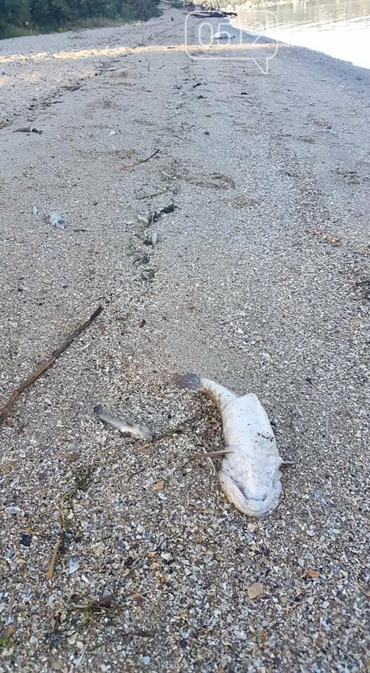  ����������� ����� ������ ��������� 