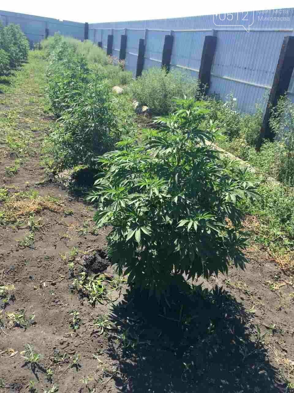  ������������ ���������� ������� ��������� ������ ���� 