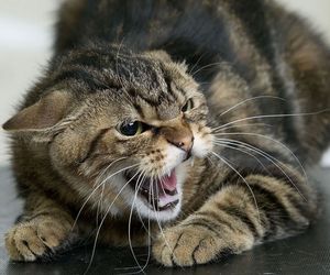  ������������ ������� ��� ������� ������� �������� �������� 