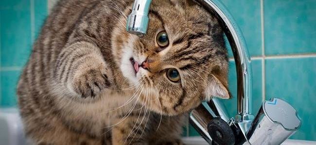  ����� ���������� ��������� ��������� ���� 