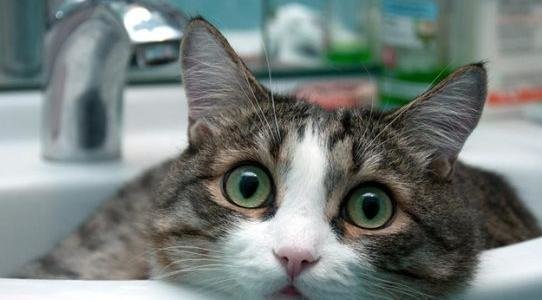  ����� ����������� ������ ��������� ��������� ���� 