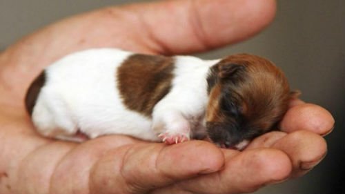  ��������� ������ ������ �������� ����� 100 ����� ����� 