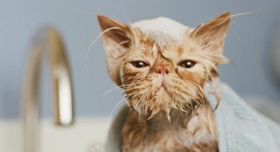  ���������� ���� ��������� 