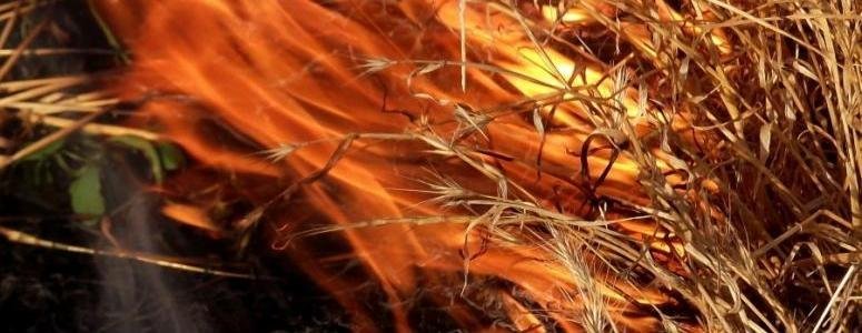  ������ �������� ������ �������� �������� ����� ����� 