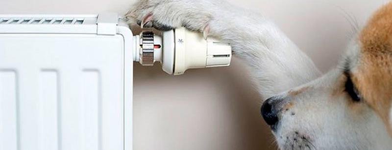  ��������� ���������� ������������� ������ ������ 