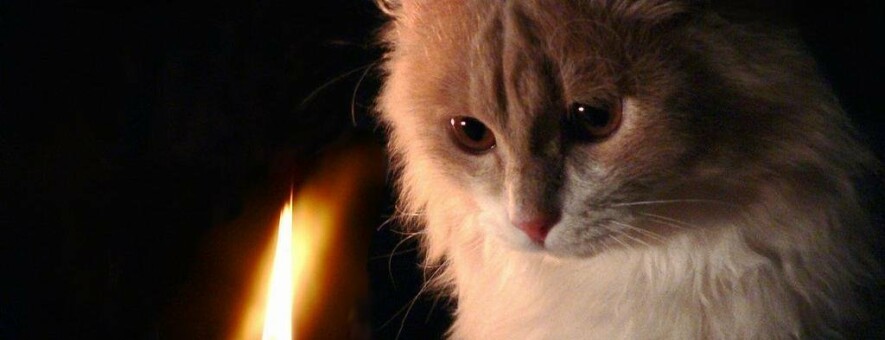 ����: 0512.com.ua