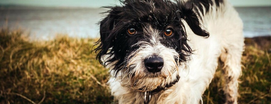  ������� ��������� ������� ����� �������� 