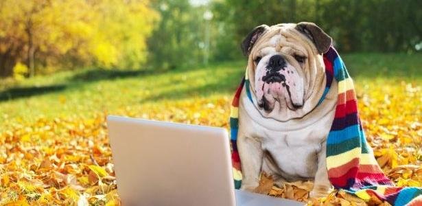  ���� ��������� �������� ��������� ������ ������� ������� 