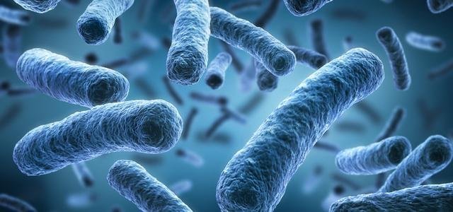  ��������� ��������� ��������� ����� �������� ������� 