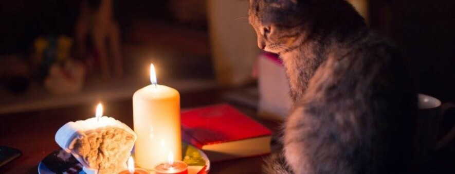  ��������� ��������� ��������� ���������� �������������� 