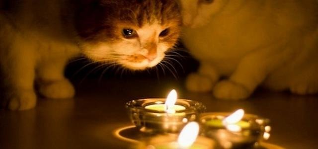 ����: 0512.com.ua