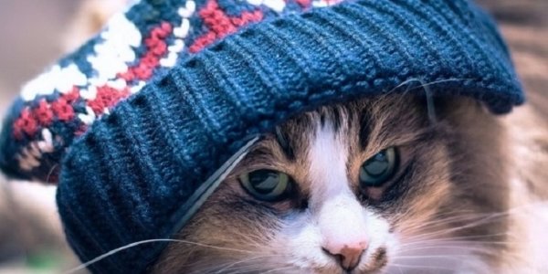  ������������� ������ �������� ��������� ������ ������ 