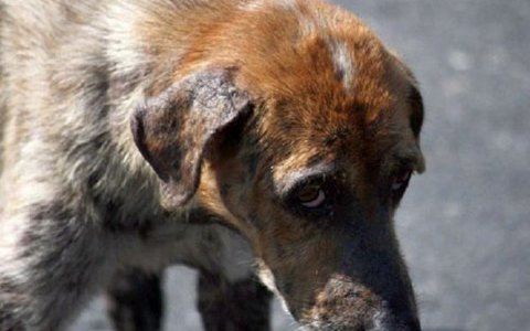 ����: 0512.com.ua