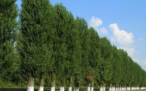  ����� ��������� ��������� �������� ������ ����� ������ 