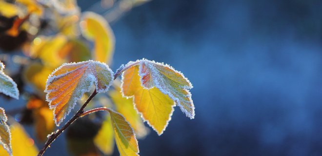 ����: 0512.com.ua