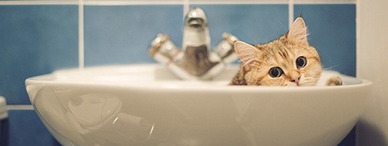  ���������� ���� ��������� ������ 