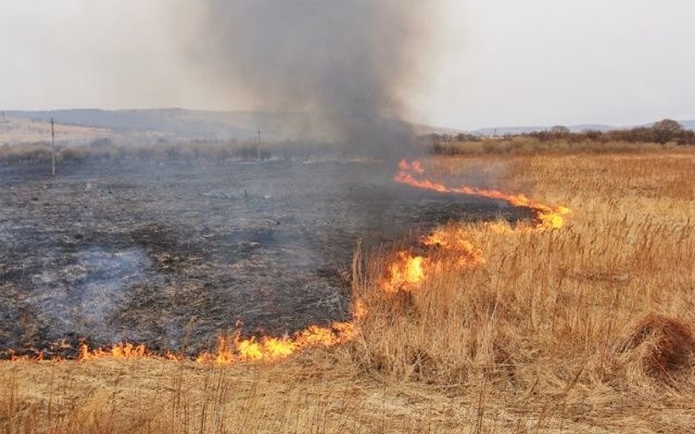  ���������� ������������ ������� ����� ������������� ������� 