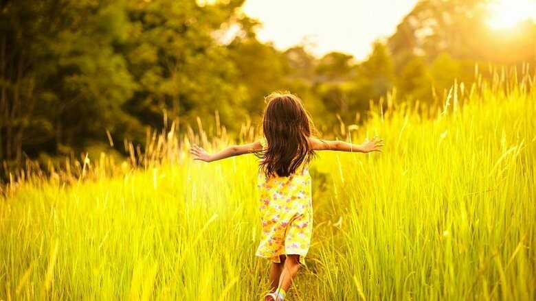 ����: 0512.com.ua