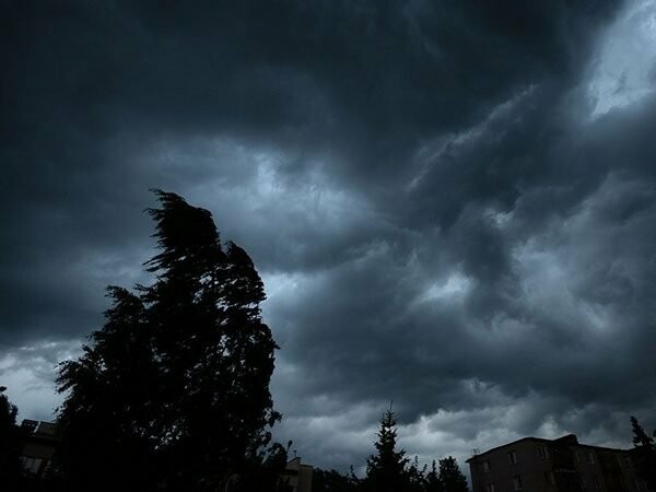  ������������ ���������� ���������� ������ ���������� ����������� �������� 