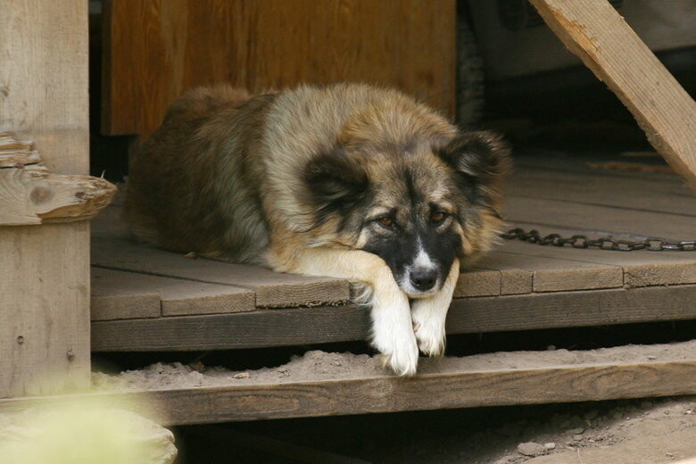 ����: 0512.com.ua