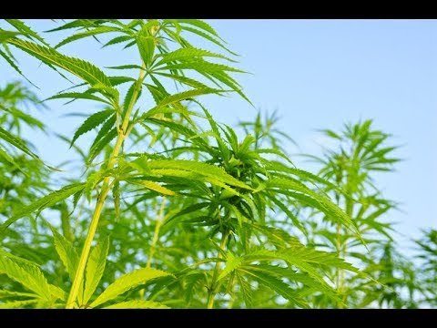  ������������ ������� ������ ������ 770 ������ ������� 