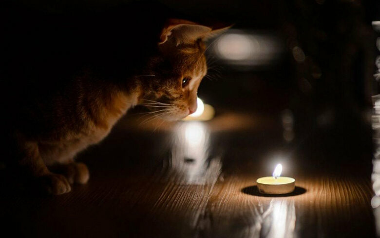  ��������� �������� �������� ���������������� 