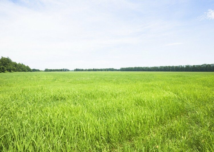  ������������ ����������� ������� ������� ��������� ������� ���������� ��� 