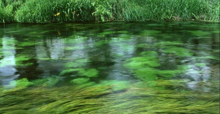  ������������ ������ 41-������ ������� ��������� ���������� 