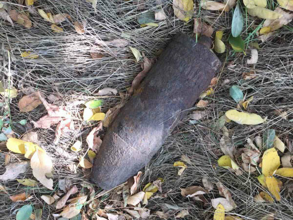  ������������ ������� ���� ��������� ��������� 