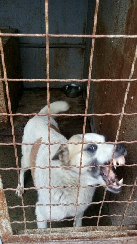  ��������� ��������� ��������� ����� ���������� ������� 