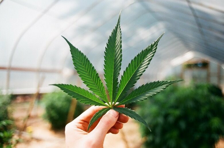  ���������� ������ ���������� ����������� ��������� 