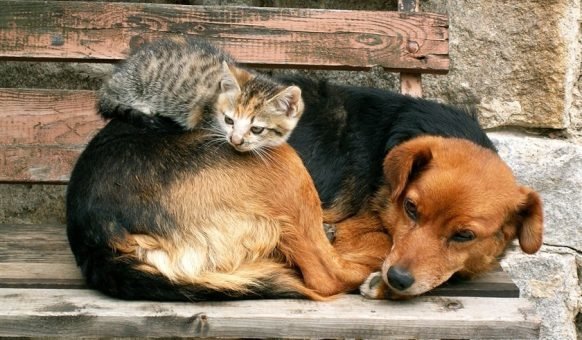  ������������ �������� �������� ��������� ��������� �������� 