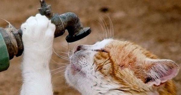  ���������� ������ ��������� �������� ���� ������ 