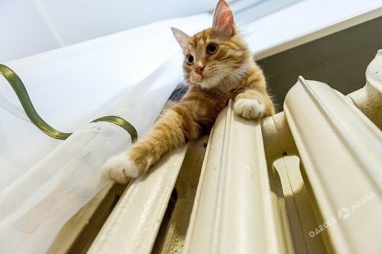  ���������� ������ ��������� ��������� ����� ������ 