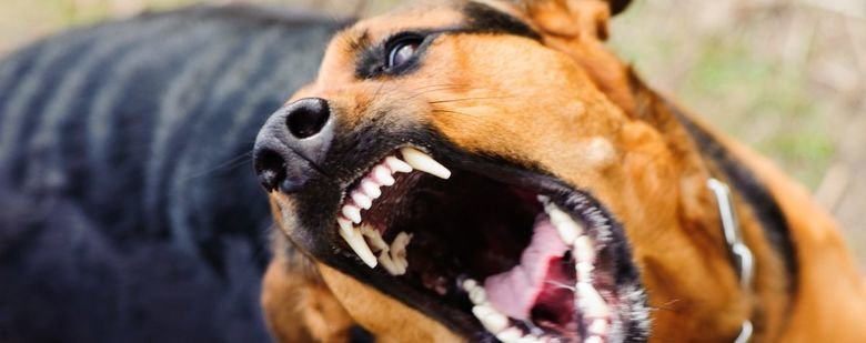  ������������ ���� ��������� ������� �������� ������ 