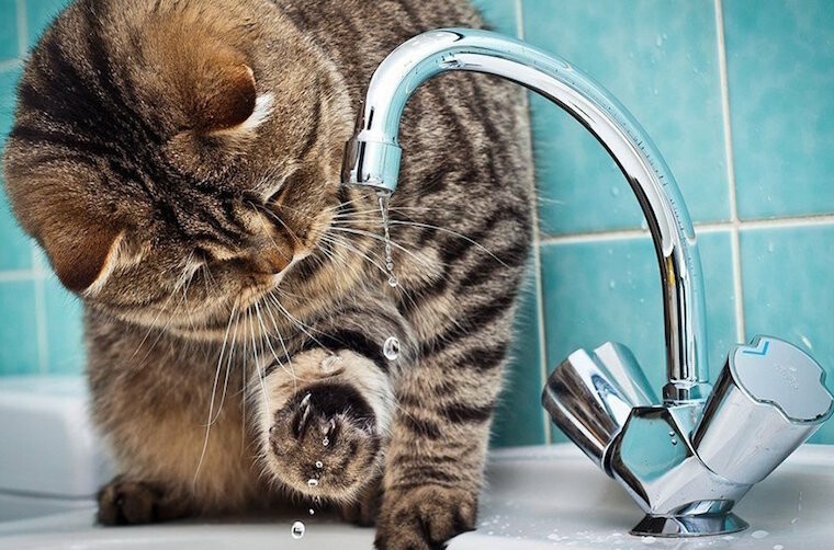  ��������� �������� ������������� ������ 