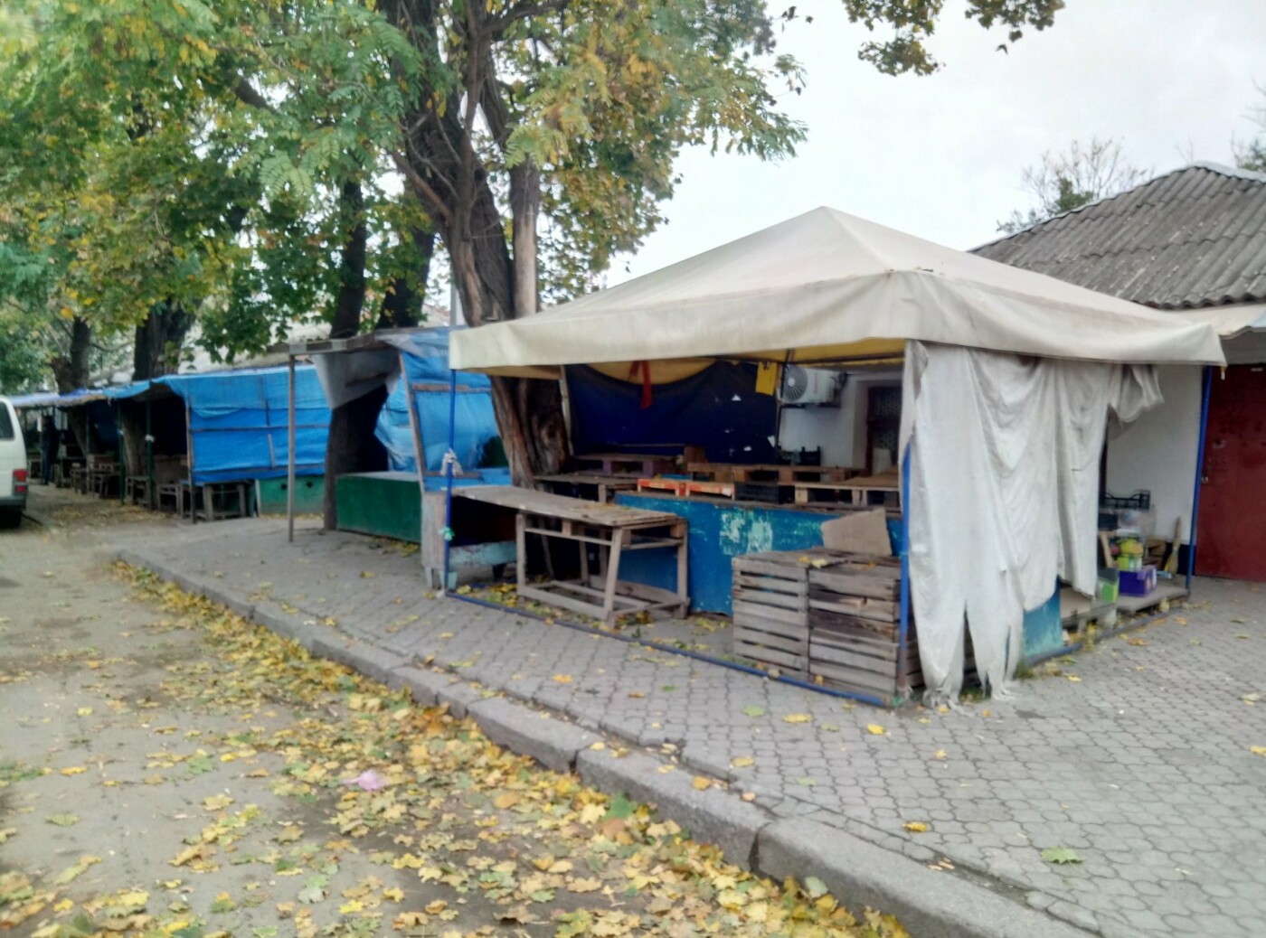  ��������� ��������������� ������������� ���������� �������� ���� 