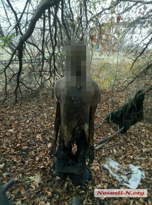  ��������� ���������� �������� ������ ��������� ����������������� ���� ���� 